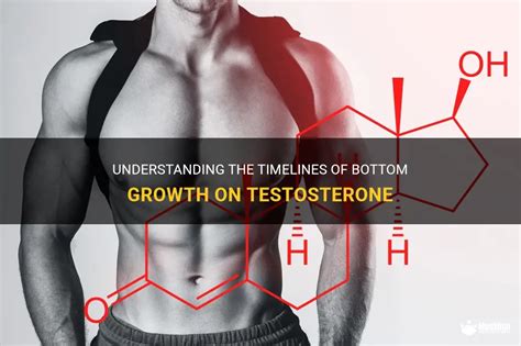 bottom growth meaning|Testosterone HRT and Bottom Growth